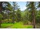 Lush backyard featuring a swing set nestled in a tranquil, wooded setting with vibrant green grass at 9633 Fox Valley Dr, Morrison, CO 80465