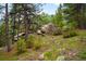 Natural landscape featuring large boulders and lush greenery with a backdrop of towering pine trees at 9633 Fox Valley Dr, Morrison, CO 80465