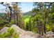 Breathtaking mountain view with towering trees and rugged rocks, offering a serene and picturesque landscape at 9633 Fox Valley Dr, Morrison, CO 80465