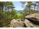 Scenic mountain view framed by lush green trees and rugged rock formations in a serene setting at 9633 Fox Valley Dr, Morrison, CO 80465