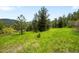 Picturesque view of grassy meadow dotted with wildflowers and lush trees in a serene mountain setting at 9633 Fox Valley Dr, Morrison, CO 80465
