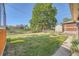 Well-maintained backyard with lush green grass, a garden shed, and a chain-link fence at 7060 Avrum Dr, Denver, CO 80221