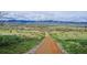 Dirt trail overlooking a vibrant landscape of lush greenery under a cloudy, expansive sky at 10060 Oak Leaf Way, Highlands Ranch, CO 80129
