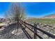 Landscaped backyard with mulch, rocks, grass and fencing at 2976 Open Sky Way, Castle Rock, CO 80109