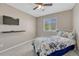 Neutral bedroom features a ceiling fan, carpet, and window with blinds for natural light at 2976 Open Sky Way, Castle Rock, CO 80109