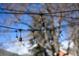 Close-up of outdoor string lights creating a warm and inviting atmosphere at 1421 Jasmine St, Denver, CO 80220