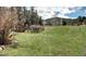 Expansive backyard with lush greenery, a shed, and trees, offering a serene outdoor space at 5502 Santa Clara Rd, Indian Hills, CO 80454