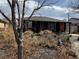 Charming home features a dark exterior, front yard landscaping and a cheerful red front door at 3610 Olive St, Denver, CO 80207