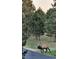 Majestic elk walks on the edge of the golf course at 31058 Big Bear Dr, Evergreen, CO 80439
