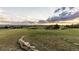 Expansive property showing the lush green yard and landscaping around the house at sunset at 8456 N Sundown Trl, Parker, CO 80134