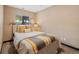 Bright bedroom features a window with wooded views and stylish decor at 87 Elmgreen Ln, Evergreen, CO 80439