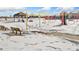 Neighborhood playground with swings, slides, and covered pavilion. Snow on the ground at 9121 Harlequin Cir, Frederick, CO 80504