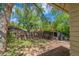 A shady, fenced backyard features a shed for bikes and gear at 3384 Avenue F, Kittredge, CO 80457