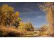 Picturesque stream and pedestrian bridge surrounded by fall foliage in the community at 1250 S Monaco Street Pkwy # 49, Denver, CO 80224