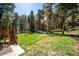 A sprawling backyard with lush green grass, mature trees, and a deck perfect for outdoor activities at 25357 Snyder Ave, Conifer, CO 80433