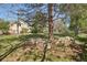 Expansive front yard featuring mature trees, lush grass, and unique rock formations at 2255 18Th St, Boulder, CO 80302