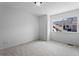 Neutral bedroom with carpet and a bright window allowing for plenty of light at 14247 Pikeminnow Pl, Broomfield, CO 80023