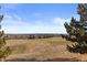 Scenic view overlooking a golf course with rolling hills and mature trees at 47 Herrn Ln, Castle Pines, CO 80108