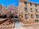Charming brick apartment building with a beautiful flowering tree in the front yard at 1135 N Elizabeth St # 102, Denver, CO 80206