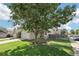 Beautiful front yard with lush lawn and mature tree providing shade, adding to the home's charm at 3982 S Himalaya Way, Aurora, CO 80013