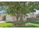 Well-maintained front yard with a mature tree and inviting landscaping, enhancing the home's curb appeal at 3982 S Himalaya Way, Aurora, CO 80013