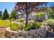 Charming home exterior with lush landscaping, a stone retaining wall, and a mature tree at 5631 Silver Bluff Ct, Parker, CO 80134