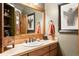 Bathroom with wood vanity, large mirror, and decorative accents at 1138 County Road 65, Evergreen, CO 80439