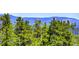 Scenic view of the lush, green mountains surrounding the property at 30889 Manitoba Dr, Evergreen, CO 80439