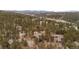 Overhead view showcasing the home's location within a tranquil, wooded neighborhood at 29857 Park Village Dr, Evergreen, CO 80439