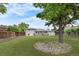 Spacious backyard with lush green lawn and large shade tree at 2075 Oakland St, Aurora, CO 80010