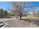 Spacious backyard with a fire pit, stone pathways, and mature trees at 543 Springvale Rd, Castle Rock, CO 80104