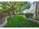 Landscaped backyard featuring a large tree and stone retaining walls at 13471 Cascade St, Broomfield, CO 80020