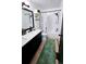 Bathroom featuring modern fixtures, birch tree shower curtain and updated lighting at 2190 Helen Ct, Parker, CO 80138