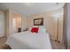 Bright bedroom offering a view into the en suite bathroom at 15201 Yellowthroat St, Parker, CO 80134