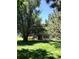 The back exterior shows the large yard and a patio area for entertaining at 10369 E Red Mtn, Littleton, CO 80127
