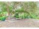 Relaxing backyard retreat featuring a mature tree, a wooden bench and landscape at 9743 W 67Th Pl, Arvada, CO 80004