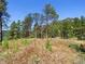 Land view featuring native grasses and wildflowers at 53 Canyon Pines Dr, Golden, CO 80403
