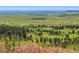 Expansive land showcasing open meadows and scattered trees offering serene privacy and natural beauty at 53 Canyon Pines Dr, Golden, CO 80403