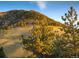 Hilly terrain with lush greenery and mature trees, offering natural views at 53 Canyon Pines Dr, Golden, CO 80403