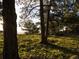 Scenic lot with mature trees and lush green grass and sunlight at 53 Canyon Pines Dr, Golden, CO 80403