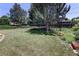 Manicured backyard features mature trees, lush lawn, and privacy fencing at 2900 S Golden Way, Denver, CO 80227
