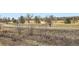 Scenic view of the community golf course at 2525 S Dayton Way # 1003, Denver, CO 80231
