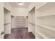 Spacious walk-in closet with custom shelving and ample storage space at 4533 Angelina Cir, Longmont, CO 80503