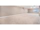 Large bonus room with neutral carpet, natural light, and ample space for recreation or relaxation at 5521 Ensenada St, Denver, CO 80249