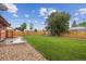 Expansive backyard featuring a well-maintained lawn, a shed, wood fence, and mature tree at 7833 Raritan St, Denver, CO 80221