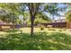 Explore this lush backyard featuring well-maintained lawn, mature trees, and manicured garden beds, perfect for outdoor enjoyment at 12175 Birch St, Thornton, CO 80241