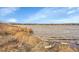 Community lake view showing log debris in the foreground and the community in the background at 13649 Plaster Cir, Broomfield, CO 80023
