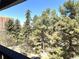 Exterior scenic view of mature pine trees against a clear blue sky at 1000 E 1St Ave # 405, Denver, CO 80218