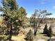 Exterior scenic view of trees against a clear blue sky at 1000 E 1St Ave # 405, Denver, CO 80218