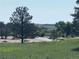 Scenic view of a creek meandering through a grassy field at 2470 Driftwood, Elizabeth, CO 80107